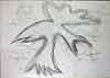 Big ugly birds - Drawing on paper - 69x48 cm - 4.500 €