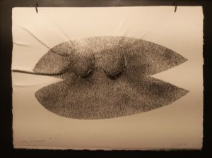 Germinacions - Tecnica mixta amb paper i tinta sobre volums. - 37 x 50 cm. - 950,00 €